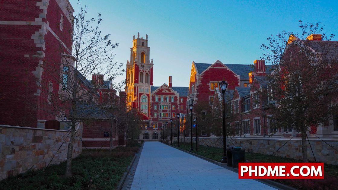 Yale World Fellows Program 2026