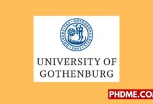 Postdoctoral Researcher in Single-Cell Genomics and Functional Imaging of Kidney Epithelial Injury in Sweden