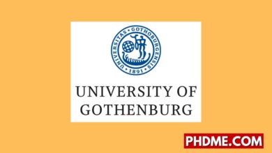Postdoctoral Researcher in Single-Cell Genomics and Functional Imaging of Kidney Epithelial Injury in Sweden