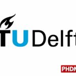 Tu-delft-phd-position-biomaterial-sciences-netherlands