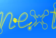 11 salaried PhD positions across six European countries through nEXt-RNA