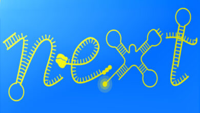 11 salaried PhD positions across six European countries through nEXt-RNA